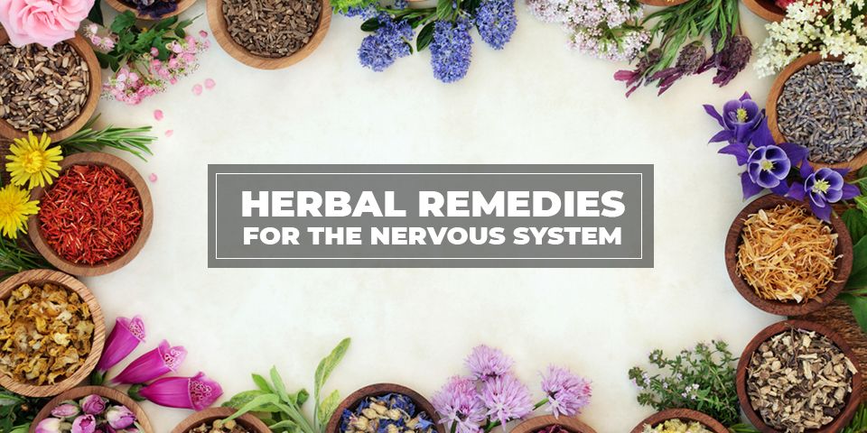 herbal remedies for nervous system