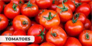 tomatos for female infertility