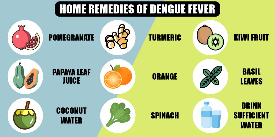 Home remedies of dengue fever